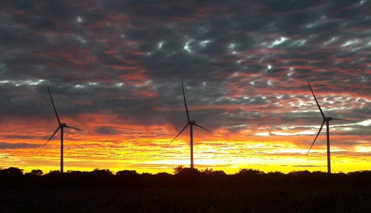 Certificados de Energia Renovável REC Brazil têm aumento recorde e atraem grandes empresas