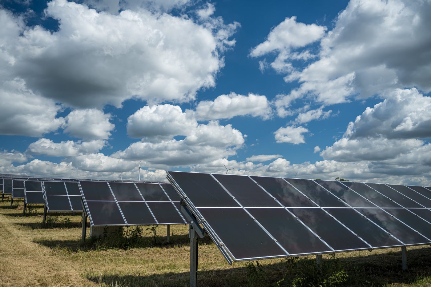 Abeeólica e Abragel lançam selo de Energia Renovável