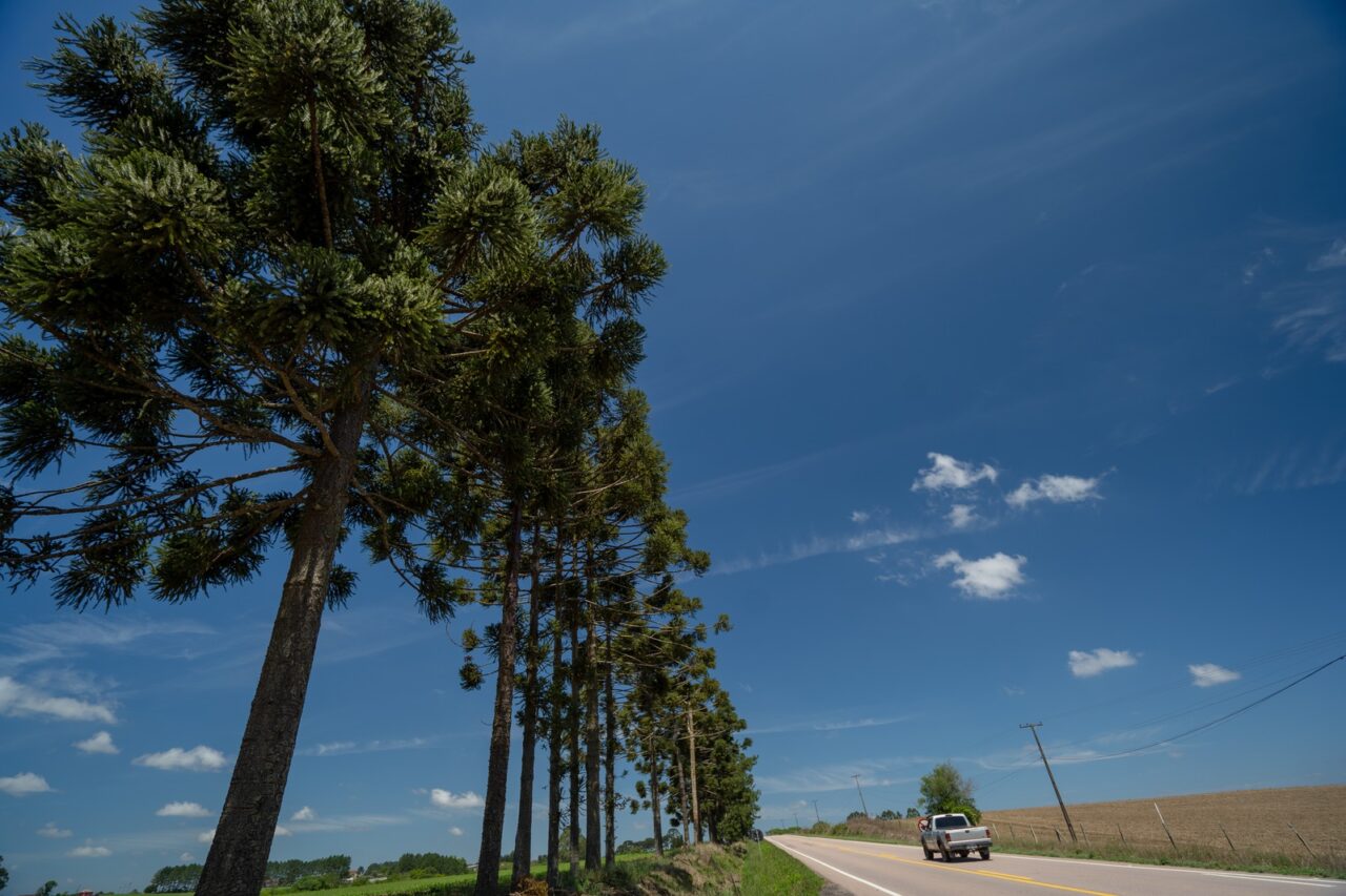 Concessionária Via Araucária conquista Selo Ouro do GHG Protocol pela segunda vez seguida
